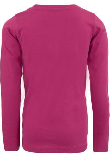 fuchsia ros