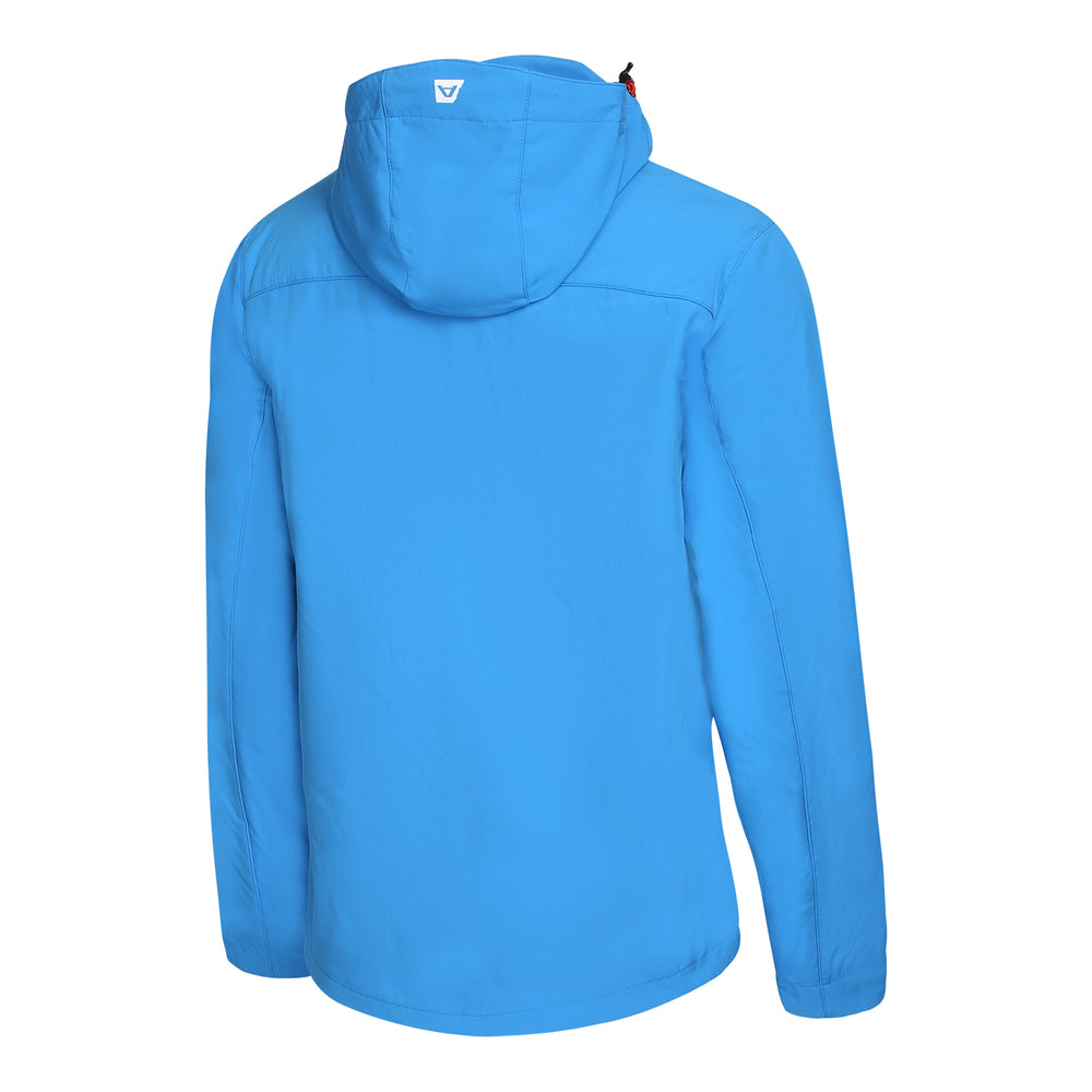 blå aster