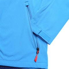 blå aster