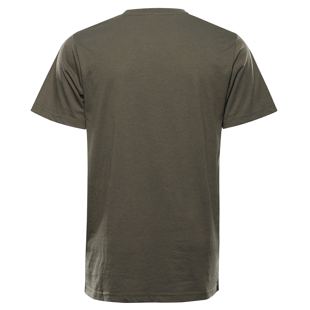 stengrå varianta pa