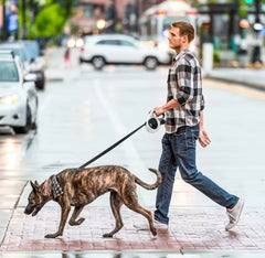 Automatiskt Hundkoppel med LED-lampa - Inbyggd avfallspåsehållare