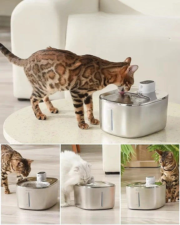 Trådlös Kattvattenfontän
