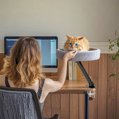 Skrivbordsbädd för Katt