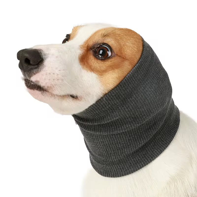 Öron skydd för hund mot buller