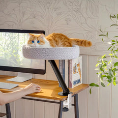 Skrivbordsbädd för Katt