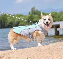 Svalkande Hundsele