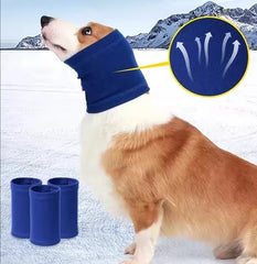 Öron skydd för hund mot buller