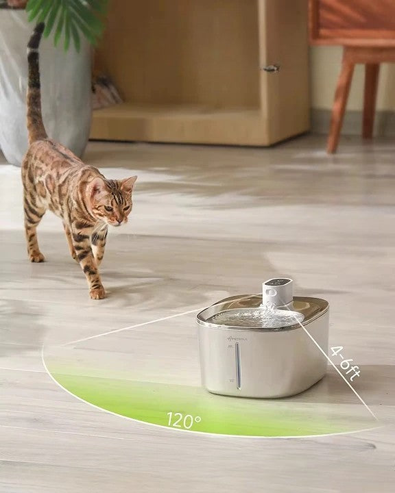 Trådlös Kattvattenfontän
