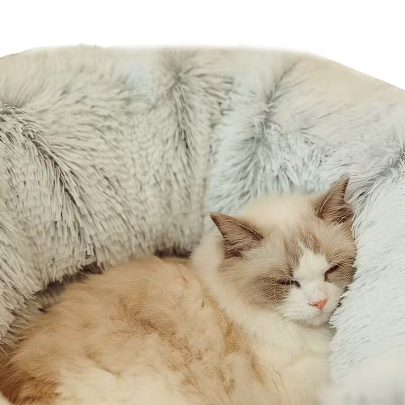 Kattunnel & Mysig Säng