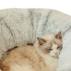 Kattunnel & Mysig Säng