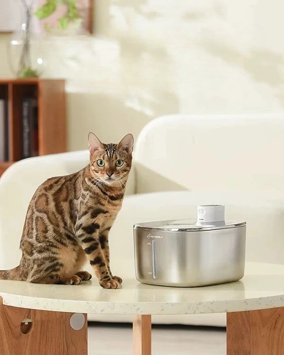 Trådlös Kattvattenfontän