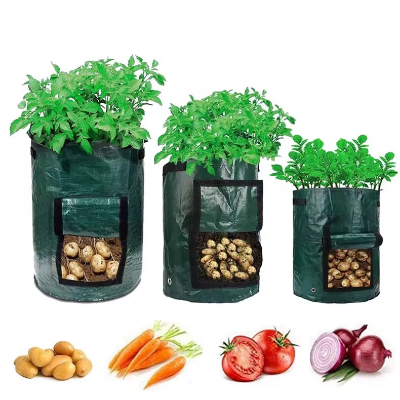 Odlingspåse - 3-pack