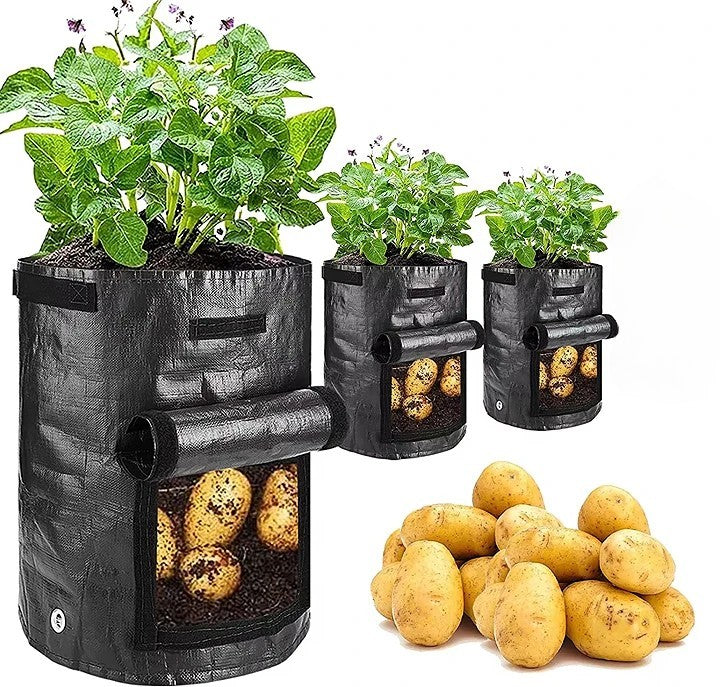 Odlingspåse - 3-pack