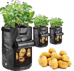 Odlingspåse - 3-pack
