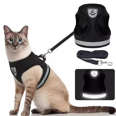 Kattsele med koppel 120cm
