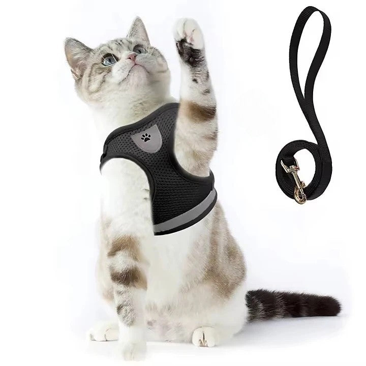 Kattsele med koppel 120cm