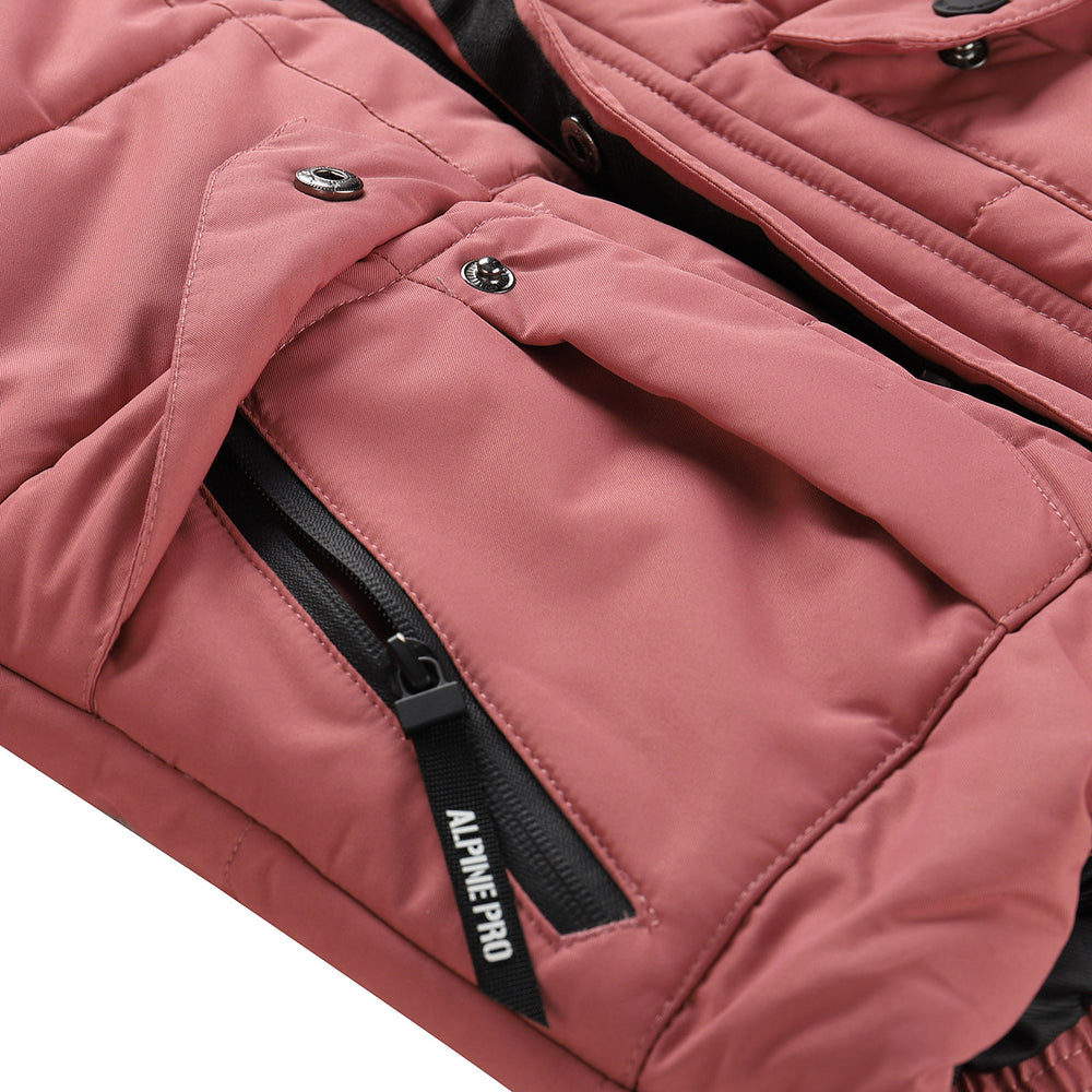dammig ros