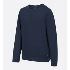 reflekterande damm