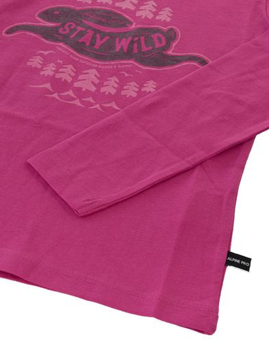 fuchsia ros