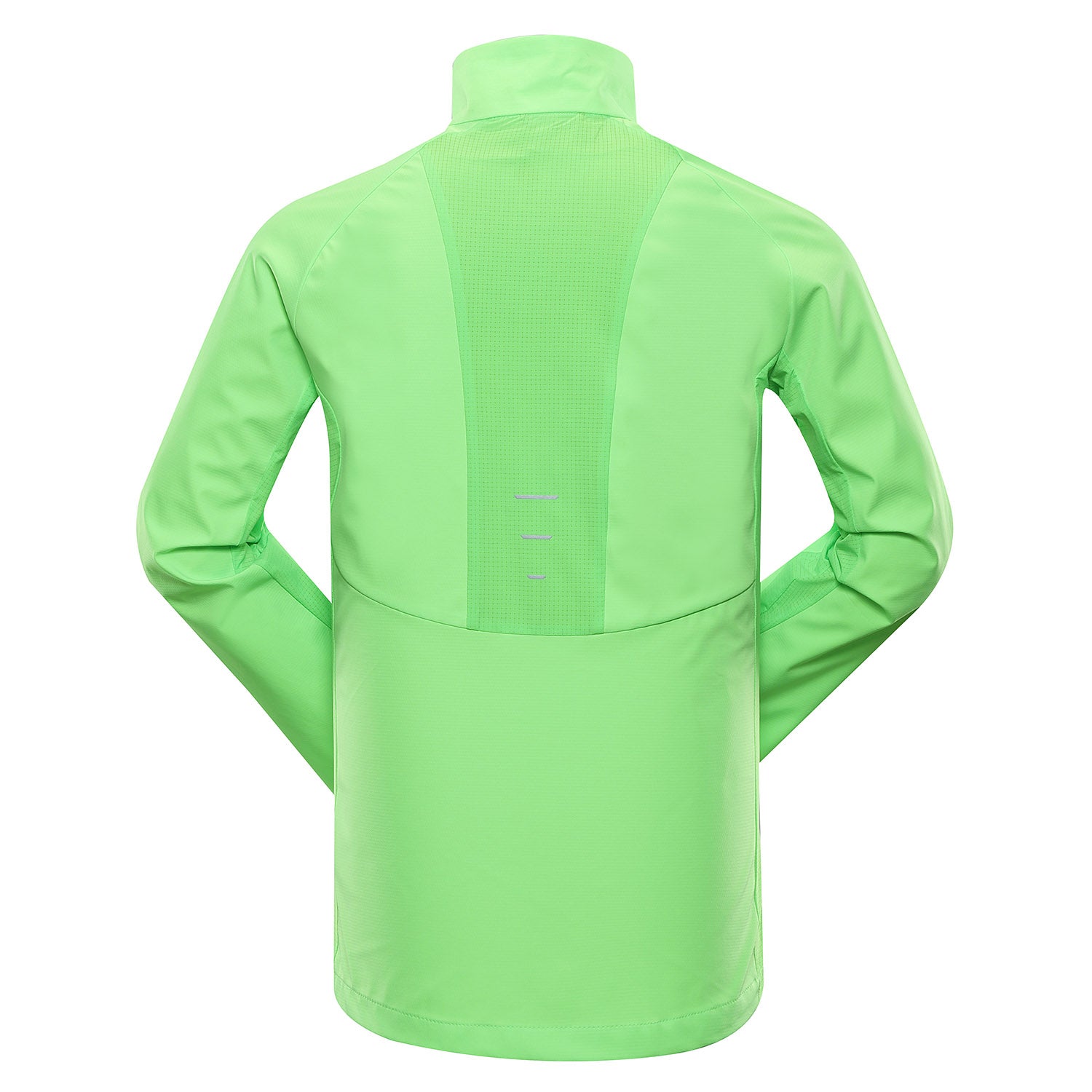 neongrön gekko