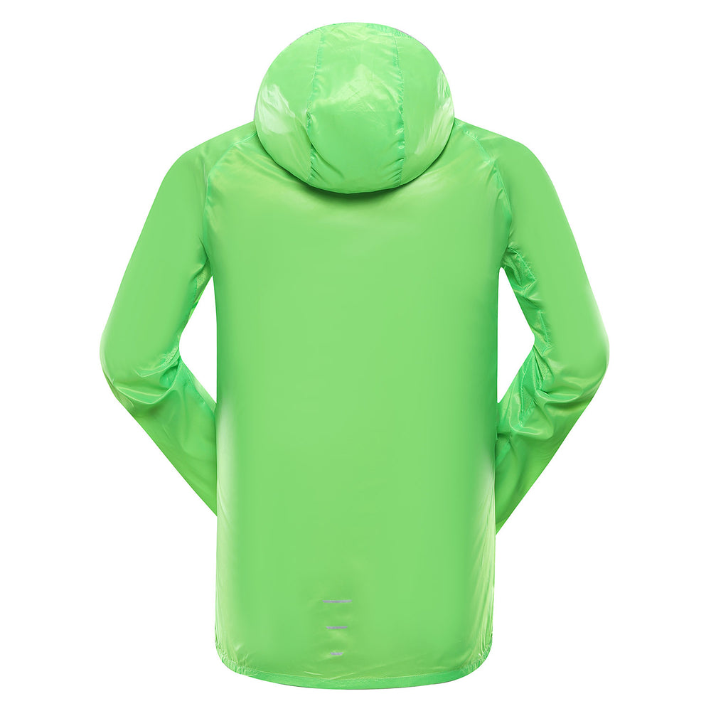 neongrön gekko