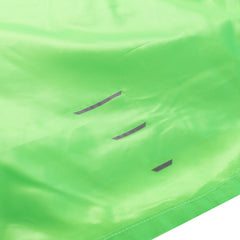 neongrön gekko
