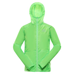 neongrön gekko