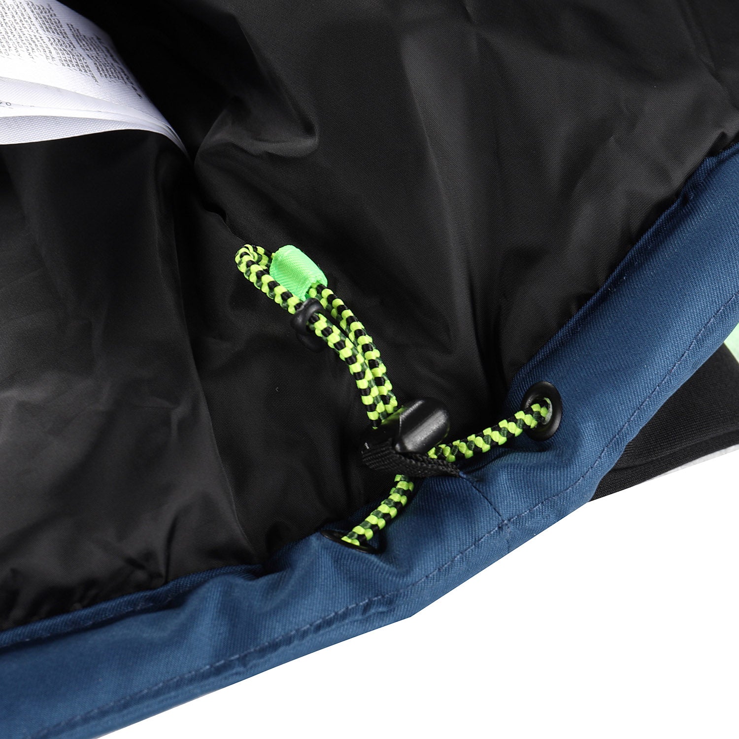 neongrön gekko