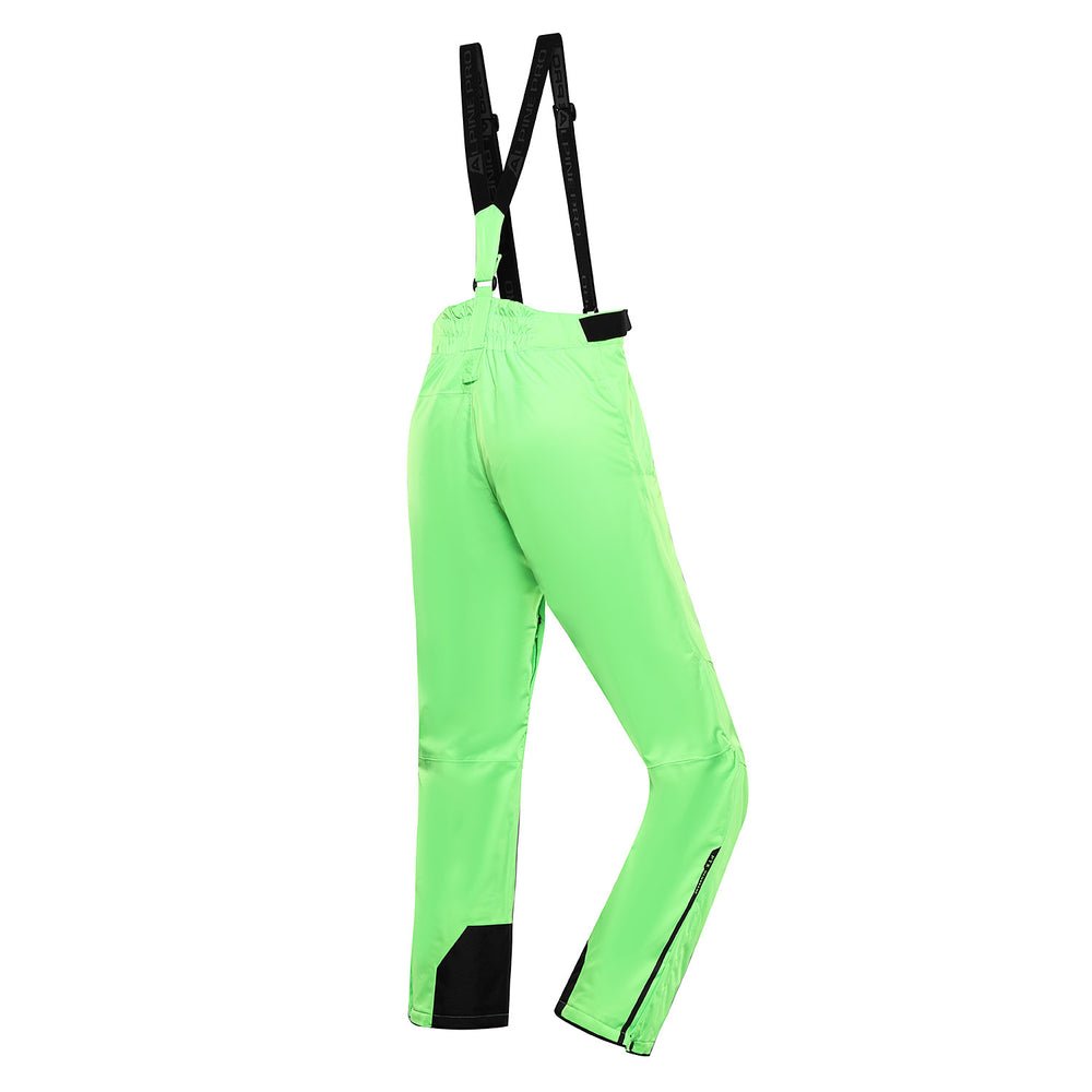 neongrön gekko