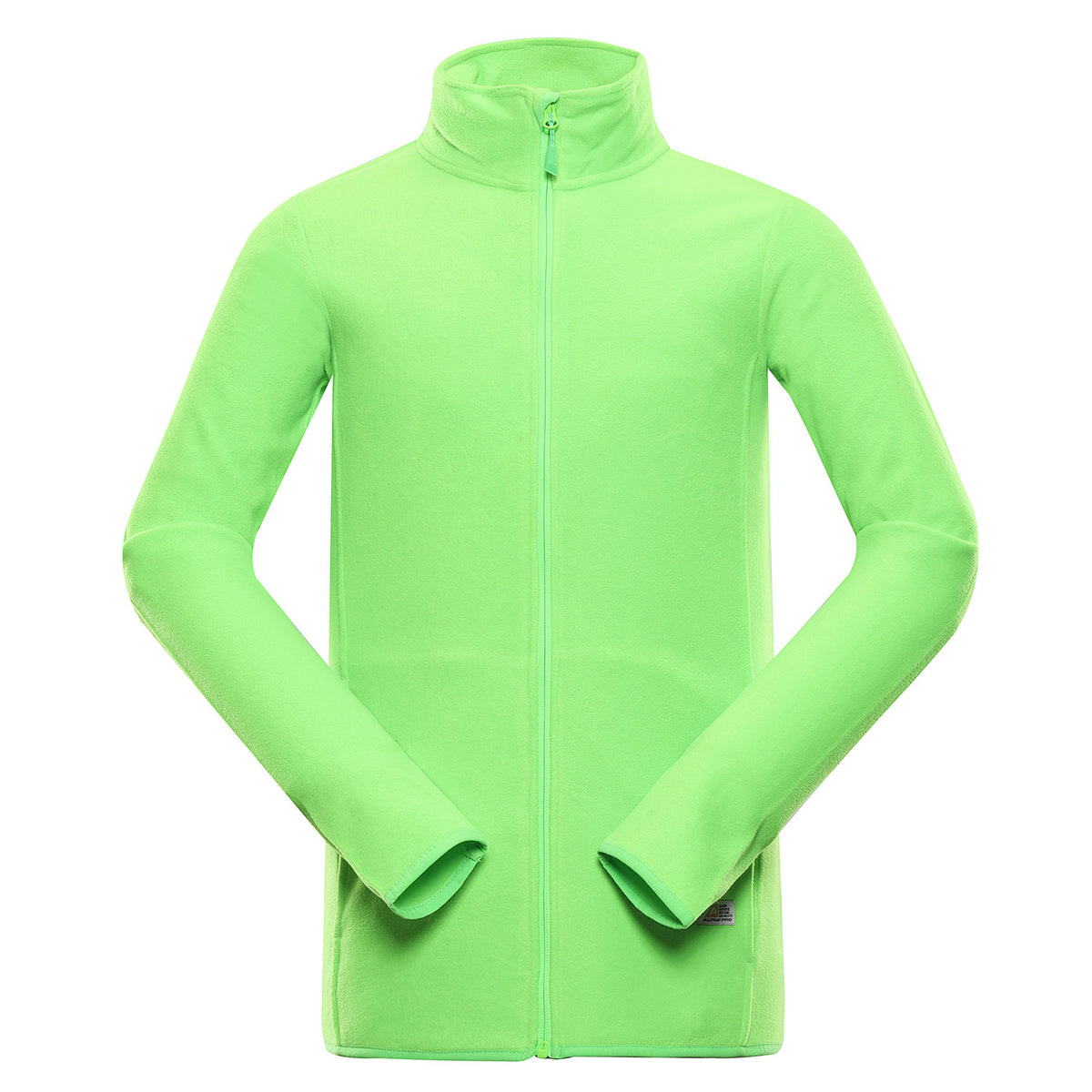 neongrön gekko