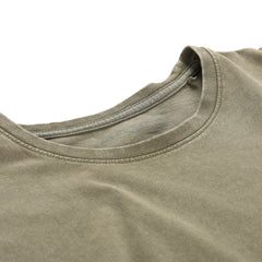 murgröna grön varianta pa