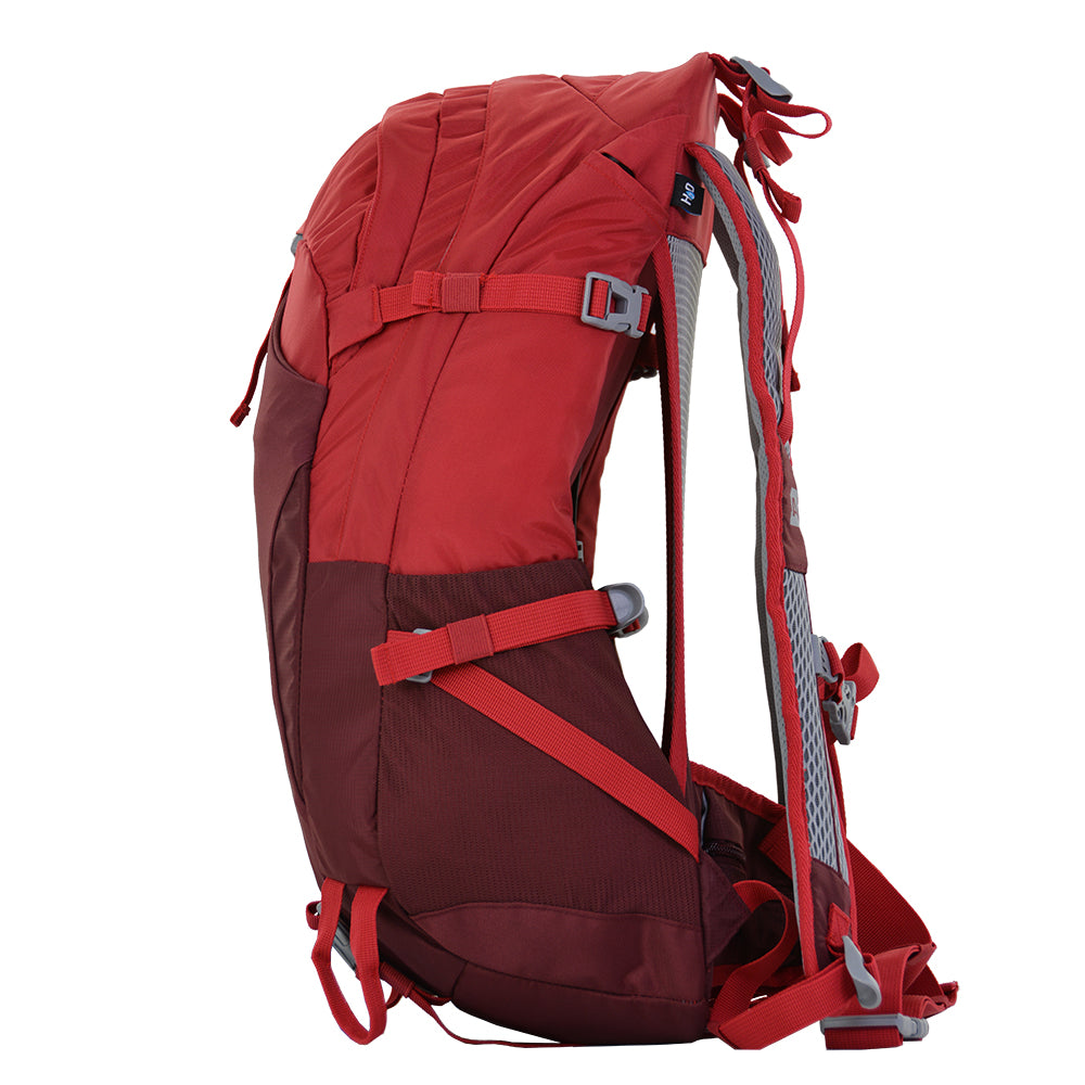 cardinal